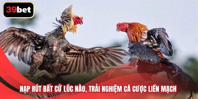 Nạp rút bất cứ lúc nào, trải nghiệm cá cược liền mạch
